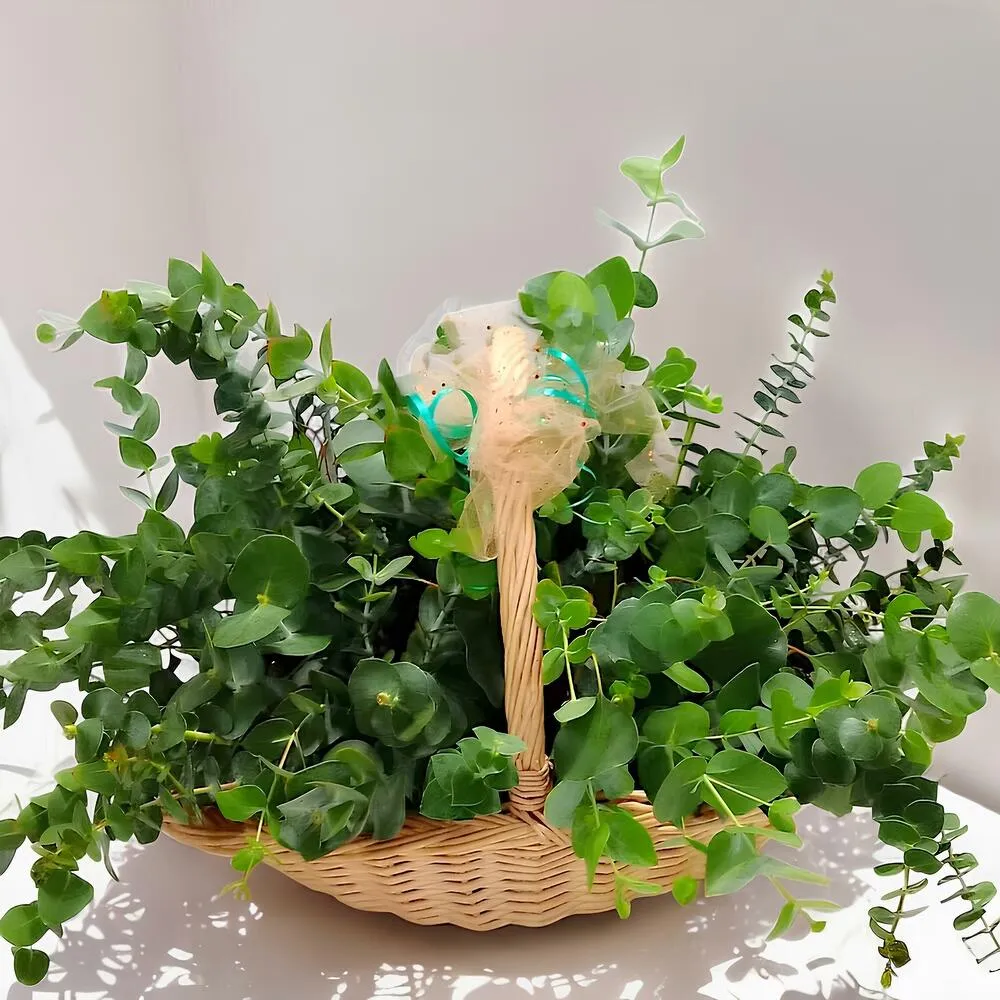 Cesta Aromas Naturales