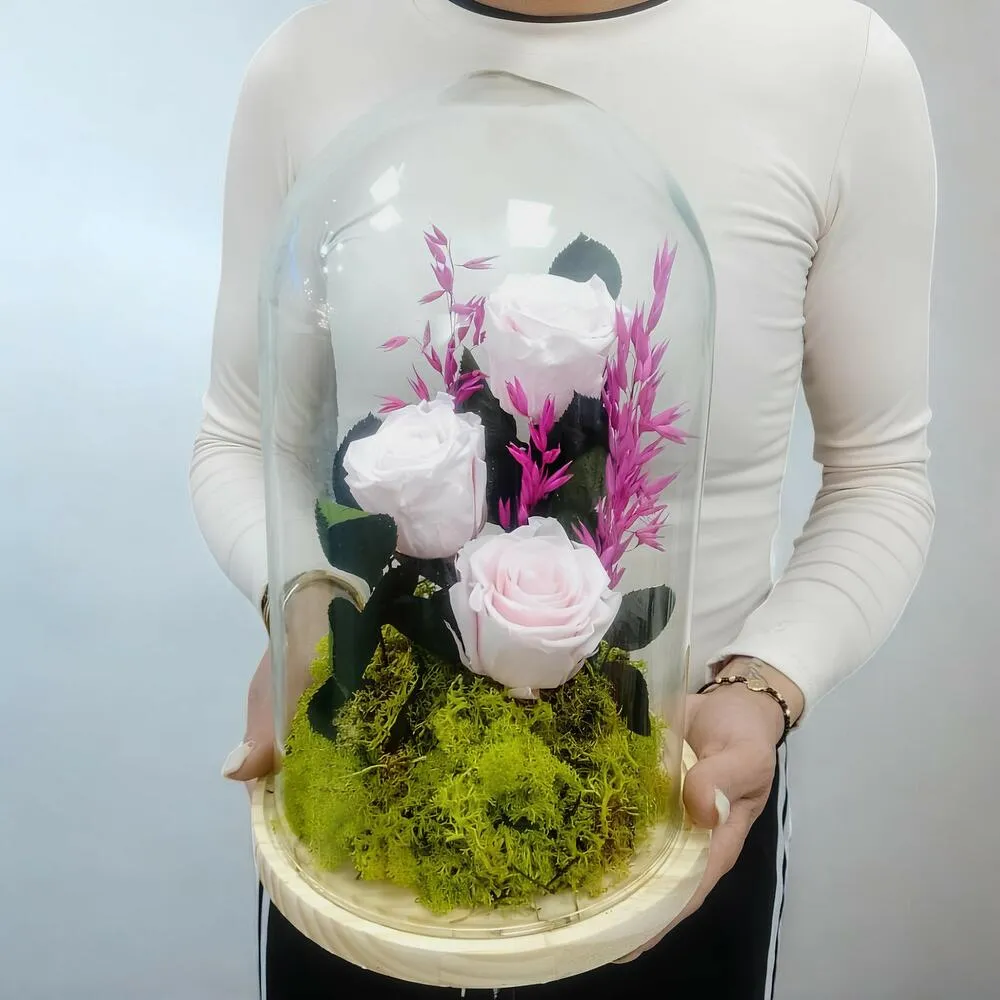 Cúpula de 3 rosas preservadas